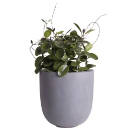 Bloempot Ducos Big Grey Ø33xH35 – UV & Vorstbestendig