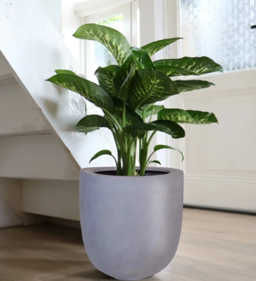 Bloempot Ducos Big Grey Ø33xH35 – UV & Vorstbestendig