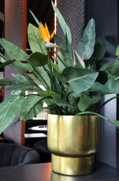 Bloempot 'Roskilde' S Goud | Vase The World | Ø37xH40cm | Chique-Living