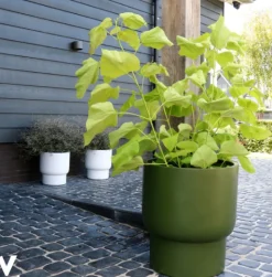 Bloempot Roskilde S Green Ø37xH40 – UV & Vorstbestendig
