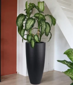 Grote Zwarte Bloempot ‘Kentucky’ Vase The World | Verkrijgbaar in 2 maten | Chique-Living
