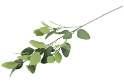 Kunst Blad Eucalyptus | L5B20H93CM | Chique-Living