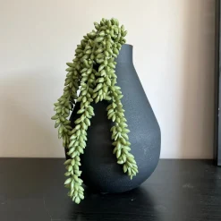 Kunst Erwtenplantje Groen | Chique-Living