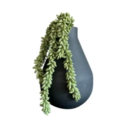 Kunst Erwtenplantje Groen | Chique-Living