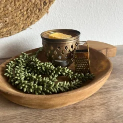 Kunst Erwtenplantje Groen | Chique-Living