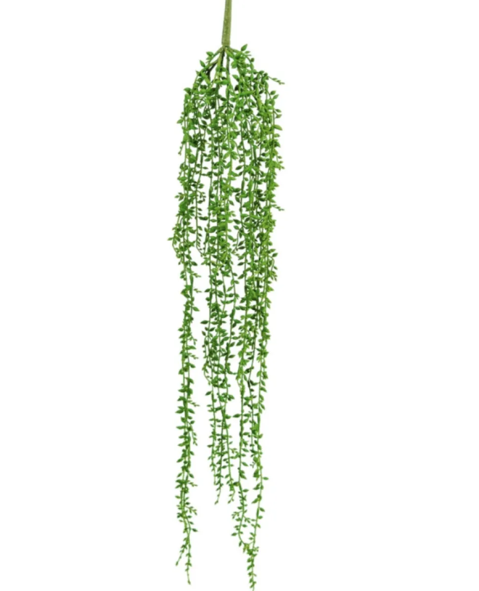 Kunst Hang Plant Senecio | 91cm | Chique-Living