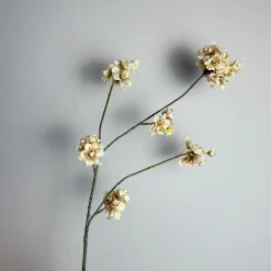 Kunstbloemen Bloesem | Champagne Beige | Chique-Living