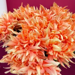 Kunstbloemen Chrysant Peachy Orange 59cm – Realistische Zijdebloem