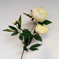 Kunstbloemen Pioenroos Crème 69cm – 2 Bloemen en 1 Knop