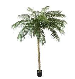 Kunstpalm Phoenix De Luxe 250cm – Tropisch & Exclusief