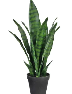 Kunstplant ‘ Sansevieria Zeylanica’ | 44cm | Chique-Living