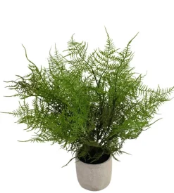 Kunstplant ‘Asparagus’ In Pot | 43cm | Chique-Living
