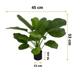 Kunstplant Calathea Fasciata 53cm – Stijlvol & Compact