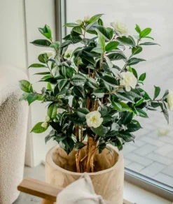 Kunstplant Camellia Japonica 100cm – Elegantie in Bloei
