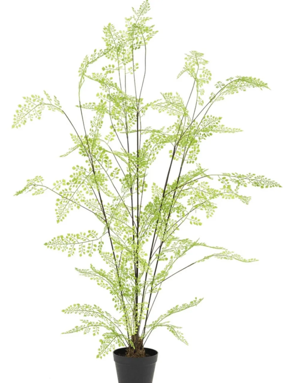 Kunstplant ‘Fern’ | 140cm | Chique-Living