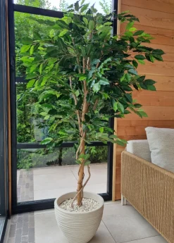 Kunstplant Ficus Groen 180cm – Natuurgetrouw & Stijlvol
