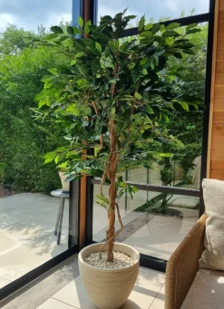 Kunstplant Ficus Groen 180cm – Natuurgetrouw & Stijlvol