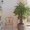 Kunstplant Ficus Tropisch Liana 150cm – Natuurgetrouwe Luxe