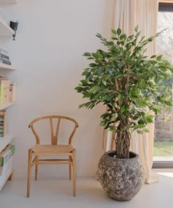 Kunstplant Ficus Tropisch Liana 150cm – Natuurgetrouwe Luxe