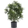 Kunstplant Podocarpus 47cm – Compact & Stijlvol Groen