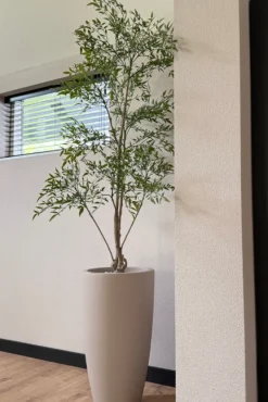 Kunstplant Ruscus | 150cm | Chique-Living