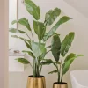 Kunstplant Strelitzia Nicolai 180cm – Luxe & Onderhoudsvrij