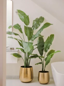 Kunstplant Strelitzia Nicolai 180cm – Luxe & Onderhoudsvrij