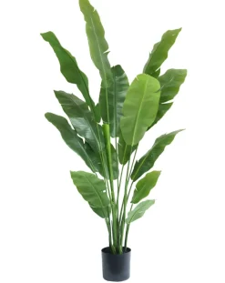 Kunstplant Strelitzia Nicolai 180cm – Luxe & Onderhoudsvrij