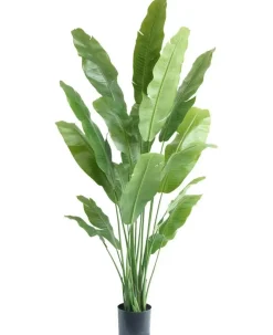Kunstplant Strelitzia Nicolai 195cm – Luxe & Onderhoudsvrij