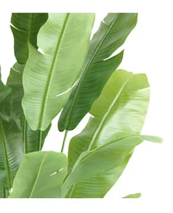 Kunstplant Strelitzia Nicolai 195cm – Luxe & Onderhoudsvrij