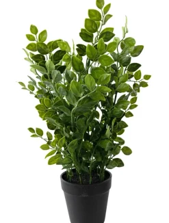 Kunstplantje ‘Green’ | 35cm | Chique-Living