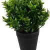 Kunstplantje ‘Green’ | 20cm | Chique-Living