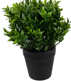 Kunstplantje ‘Green’ | 20cm | Chique-Living