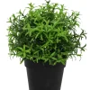 Kunstplantje ‘Herbs’ | UV Bestendig | 21cm | Chique-Living