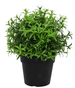 Kunstplantje ‘Herbs’ | UV Bestendig | 21cm | Chique-Living