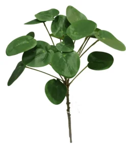 Kunstplantje ‘Pancake’ | 50cm | Chique-Living