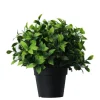 Kunstplantje ‘Photonia’ | UV Bestendig | 22cm | Chique-Living