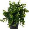 Kunstplantje ‘Pumila’ In Pot | 20cm | Chique-Living