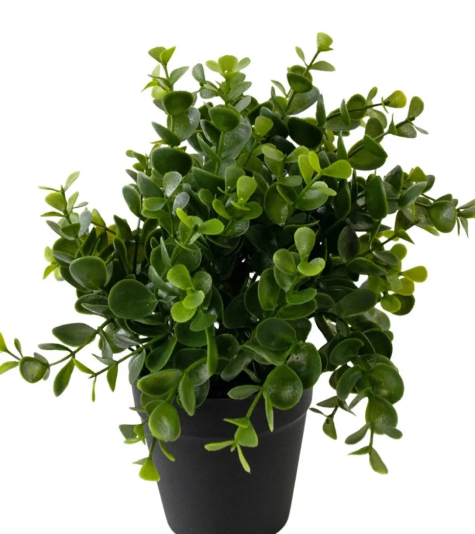 Kunstplantje ‘Pumila’ In Pot | 20cm | Chique-Living
