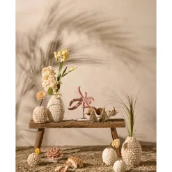 Schelp Vaas | Bruin/Creme | Ø19x28,5 cm | Chique-Living