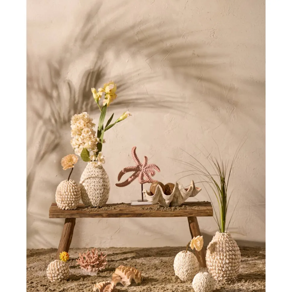 Schelp Vaas | Bruin/Creme | Ø19x28,5 cm | Chique-Living