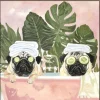 Schilderij Bath Pugs 70×70 cm – Met Houten Frame | Chique-Living