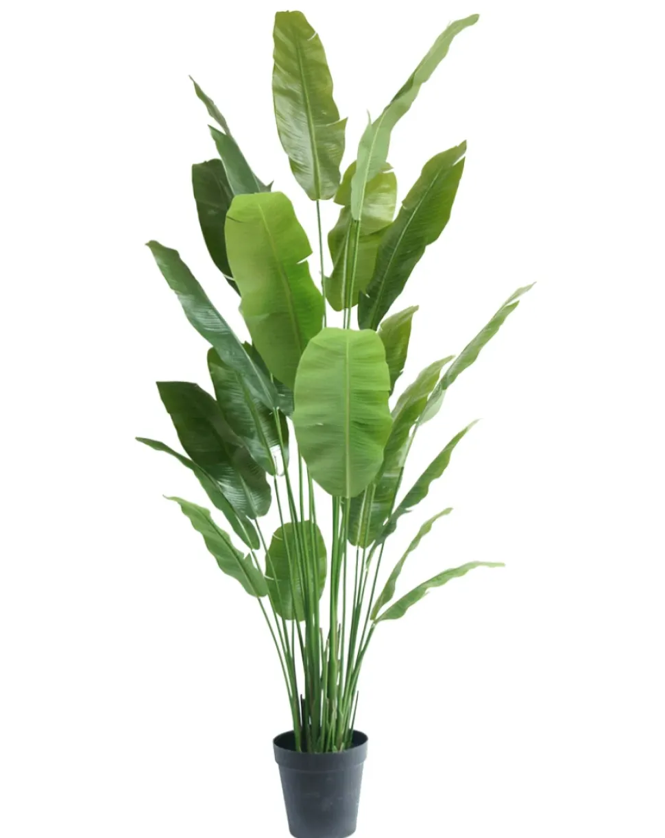 Strelitzia Nicolai Deluxe 235cm – Luxe Kunstplant XXL