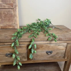 XL Kunst Hangplant Hop | Chique-Living