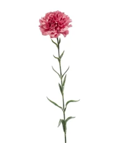 Zijden Bloem 'Anjer' | Oud Roze | 67cm | Chique-Living