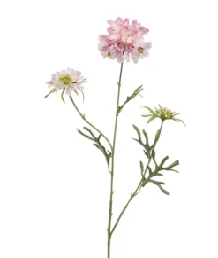 Zijden Bloem 'Scabiosa' | Roze | 77cm | Chique-Living